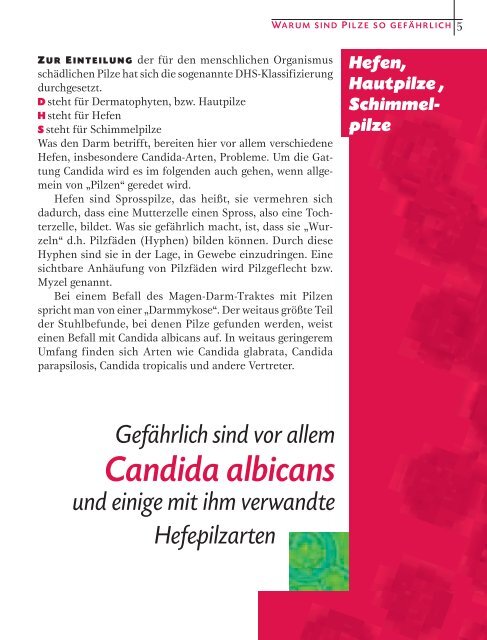 Pilze im Darm - Naturheilpraxis Kudritzki