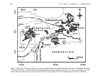 Petroloji (Anadolu) pdf Orkun ERSOY