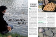 Alternative baits / Mattia Travasoni / 3.5Mb - K-Karp