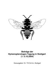 Beiträge der Hymenopterologen-Tagung in Stuttgart (1 ... - DGaaE