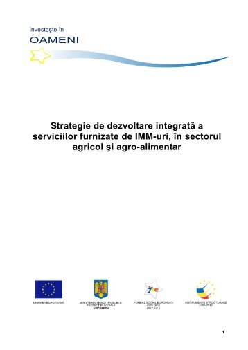 Strategie de dezvoltare integrată a serviciilor furnizate de IMM-uri