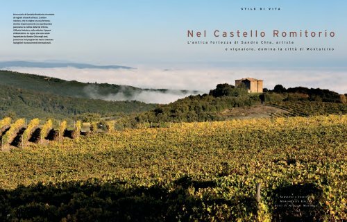 Nel Castello Romitorio - Castello Romitorio Wines