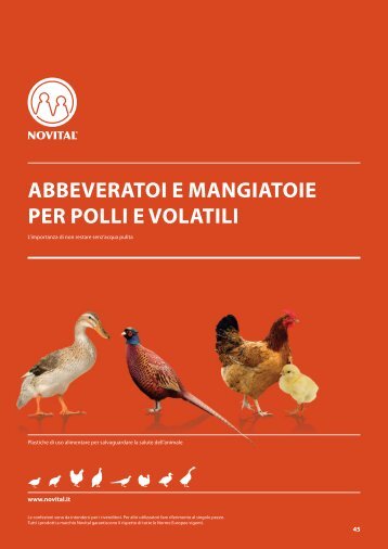 ABBEVERATOI E MANGIATOIE PER POLLI E VOLATILI - Novital