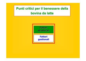 Lez17b Punti critici per benessere bovina da latte - Agraria