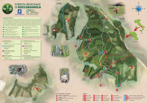 Cartina Foresta Rocc#76364.fh11 - Comune di Roccarainola