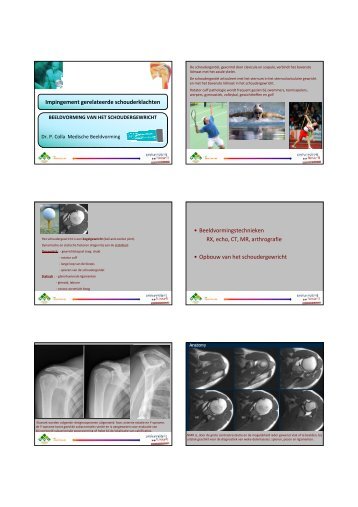 Werkzitting schouderanatomie en beeldvorming-Paul Colla - UHasselt