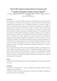 Papel de PKC durante la invasión celular de Toxoplasma gondii