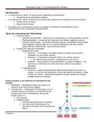 Resumen Cap. 11 Comunicación celular - biol3101upr-rp-rr