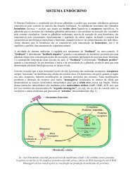 SISTEMA ENDÓCRINO - Laboratório de Biologia - IFSC