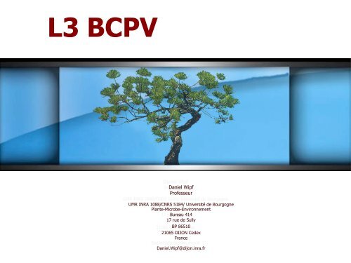 L3 BCPV - Biologie Intégrative des Interactions Plante Microbe ...