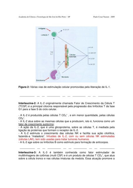 CITOCINAS E INTERLEUCINAS - Academia de Ciência e Tecnologia