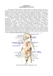 Лекция №12