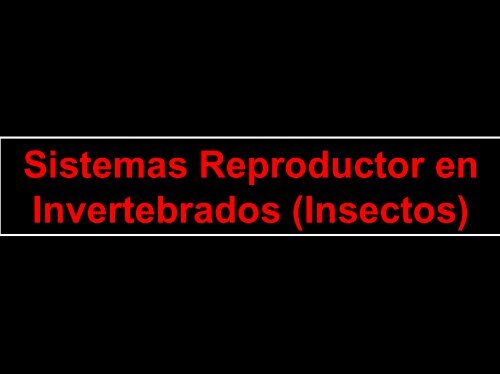 Sistemas Reproductor en Invertebrados (Insectos)