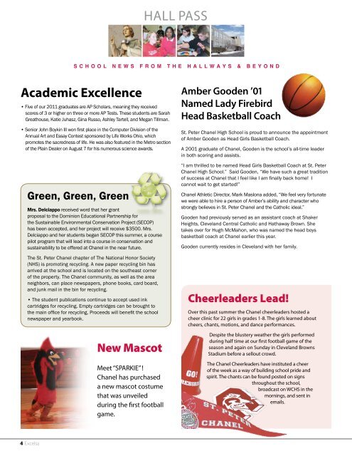 2010-11 Annual Report - St Peter Chanel High School