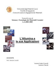 L'Allumina e le sue Applicazioni - Antonio.licciulli.unile.it