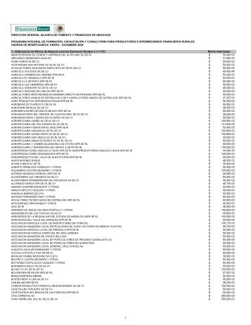 padron pi 2008 - Financiera Rural