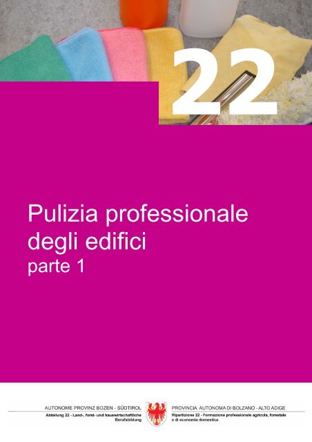 Pulizia professionale degli edifici – parte 1 - Fachschule für ...