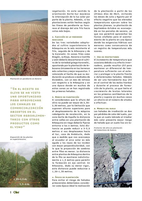 Cultivo Fincas Entrevista - Olint