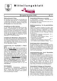 Mitteilungsblatt Nr. 11