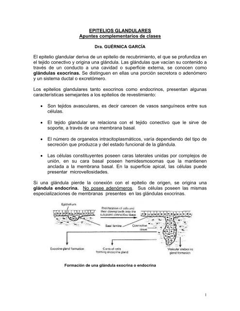 secreciones de la próstata y la glándula tubular secreciones de la próstata y la glándula tubular