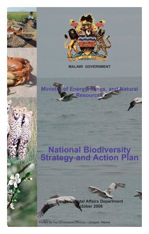 National Biodiversity Strategy and Action Plan - Convention on ...