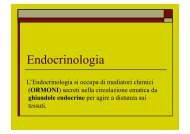 Endocrinologia - Infermieristica Rimini
