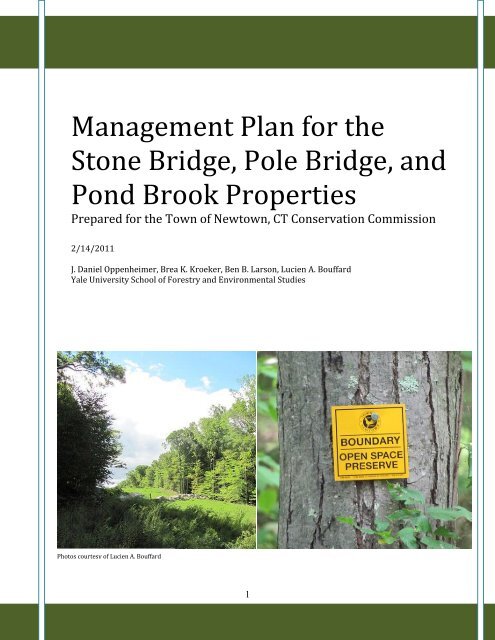 Management Plan for the Stone Bridge, Pole Bridge  - Newtown, CT