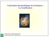 Procédé de gazéification pour la valorisation énergétique de la ...