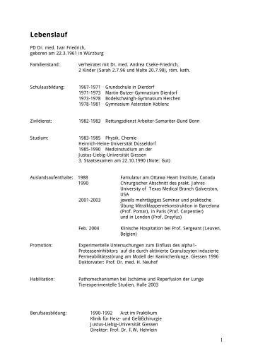 lebenslauf martin kirsch lebenslauf martin kirsch