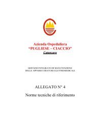 4 norme tecniche di riferimento.pdf - Pugliese Ciaccio