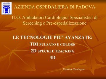 TDI pulsato e colore 2D Speckle Tracking 3D - AIM Group