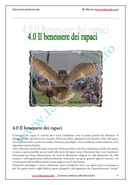 Falconeria professionale: esibizioni al pubblico ... - Falconeria.info