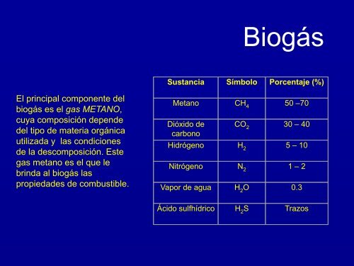 Curso de biodigestores ICE - InfoAgro