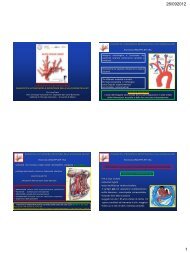 Diagnostica ultrasonora e importanza della valutazione dell'IMT