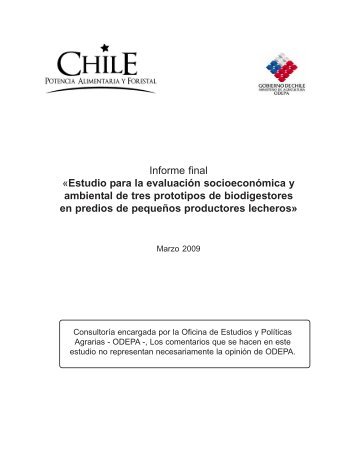 estudio para la evaluacion socioeconomica y ambiental de ... - Odepa