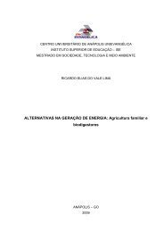 Alternativas na Geração de Energia - UniEVANGÉLICA