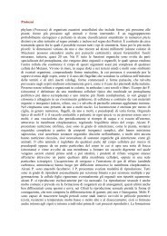 Protozoi phylum (Protozoa) di organismi eucarioti ... - Italiantartide.it