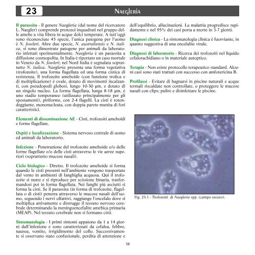 MAPPE PARASSITOLOGICHE 14 - Regione Campania