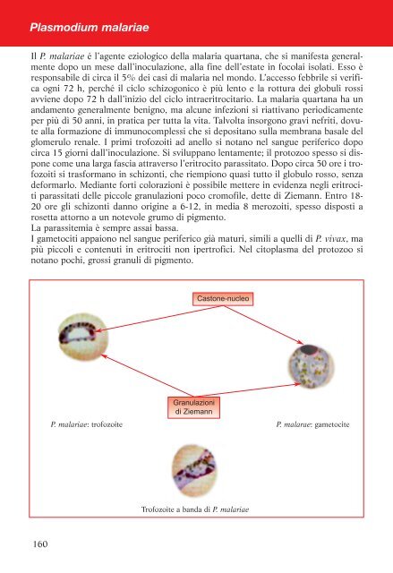 La Diagnosi di Laboratorio delle Malattie da Protozoi - tutte mappe