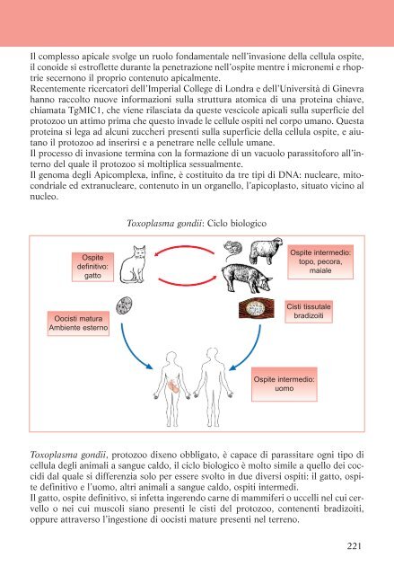 La Diagnosi di Laboratorio delle Malattie da Protozoi - tutte mappe