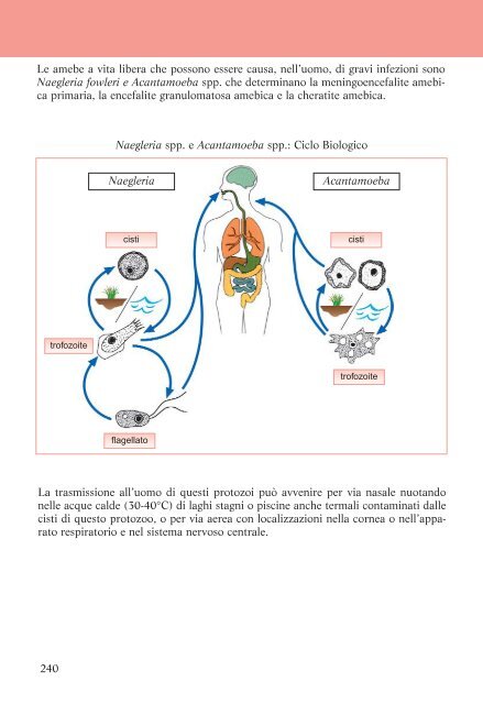 La Diagnosi di Laboratorio delle Malattie da Protozoi - tutte mappe