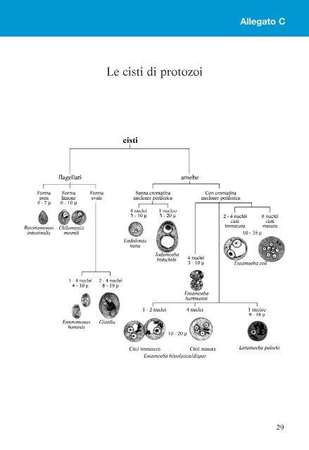 La Diagnosi di Laboratorio delle Malattie da Protozoi - tutte mappe