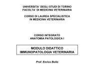 Prof. Enrico Bollo - Medicina Veterinaria