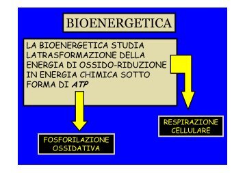 BIOENERGETICA - dispa