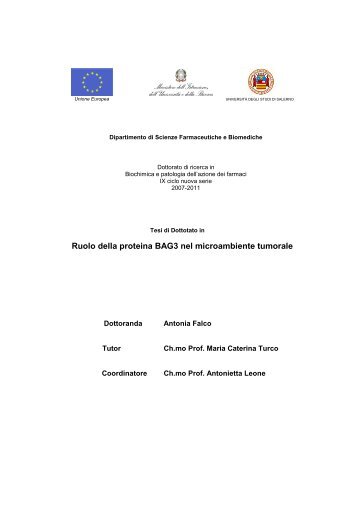 tesi A. Falco.pdf - EleA@UniSA - Università degli Studi di Salerno