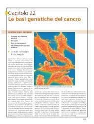 Capitolo 22 Le basi genetiche del cancro - EdiSES