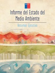 Informe del Estado del Medio Ambiente - Ministerio del Medio ...