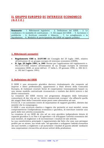 il gruppo europeo di interesse economico (geie) - TuttoCamere.it