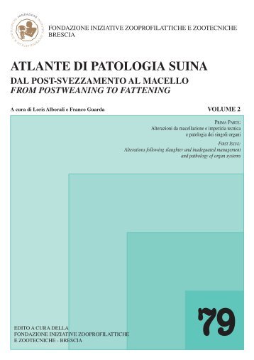 atlante di patologia suina - Fondazione iniziative Zooprofilattiche e ...