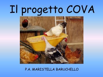 Esperienze di conservazione della biodiversità avicola - Veneto ...